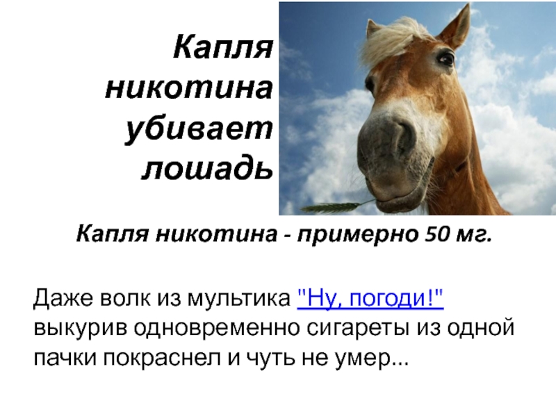 Капля никотина убивает лошадьКапля никотина - примерно 50 мг.  Даже волк из мультика 