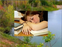 Презентация по ОБЖ Отдых в лесу