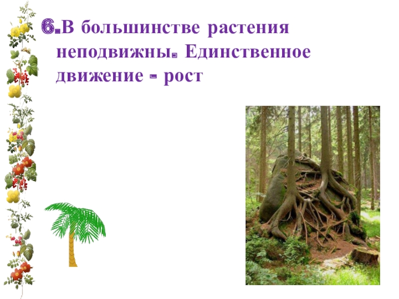 Большинство растений. Растения неподвижны. Большинство растений это. Растения неподвижны или нет. Почему у растений неподвижный образ жизни.