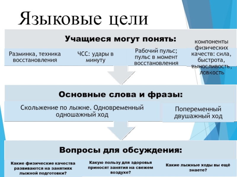 Языковая цель. Языковые цели. Языковые цели урока. Языковая политика цели. Языковые цели примеры.