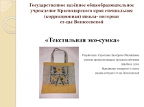 Презентация к уроку по профессионально трудовому обучению швейное дело для 6 класса на тему Эко-сумка