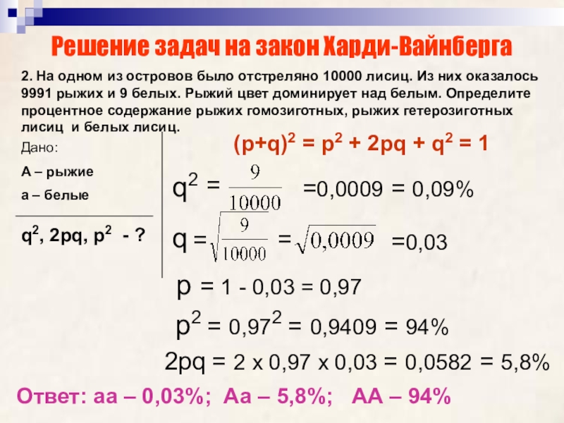 Закон харди вайнберга презентация