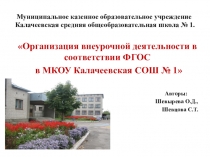 Презентация Организация внеурочной деятельности