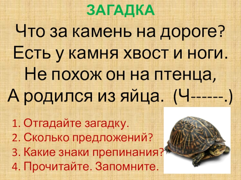 Загадка камней. Загадка что за камень на дороге есть у камня хвост и ноги. Загадка про камень. Отгадай загадку камней. Что за камень на дороге загадка.