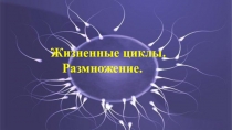 Презентация по биологии на тему Жизненные циклы. Размножение (8 класс)