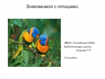 Презентация по окружающему миру на тему Птицы