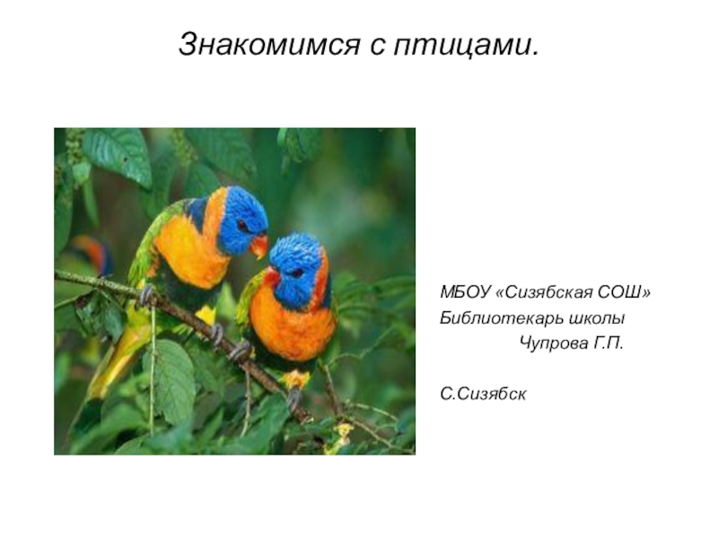 Презентация по окружающему миру на тему Птицы