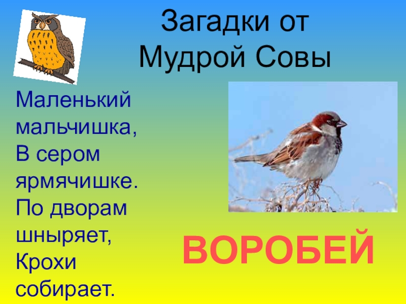 Окружающий мир 2 класс презентация на тему в гости к весне 2 класс