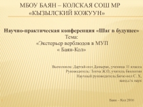 Научно-исследовательская работа на тему Экстерьер верблюдов в МУП Баян-Кол