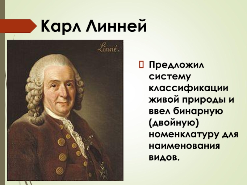 Новая система природы. Что предложил Карл Линней. Карл Линней коллекция. Коллекция Карла Линнея. Карл Линней двойное название.