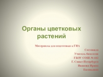 Органы цветковых растений - материалы для подготовки к ГИА