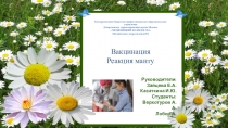 Презентация Вакцинация. Реакция Манту