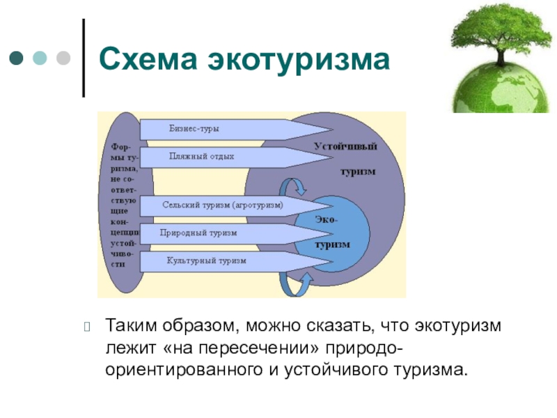 Бизнес план экотуризм