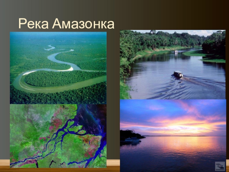 В какое время года полноводны реки. Южная Америка река Амазонка. Проект река Амазонка. Амазонка самая полноводная река в мире. Река Амазонка презентация.