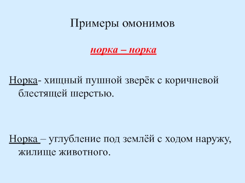 Словосочетание с омонимами. Хищный Пушок зверёк с коричневой блестящей шерстью. Хищный Пушной зверек с коричневой блестящей шерстью. Предложения со словом норка омонимы. Предложение со словом норка.