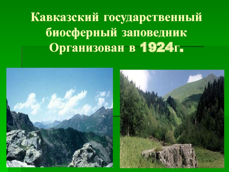 Заповедники кавказа презентация