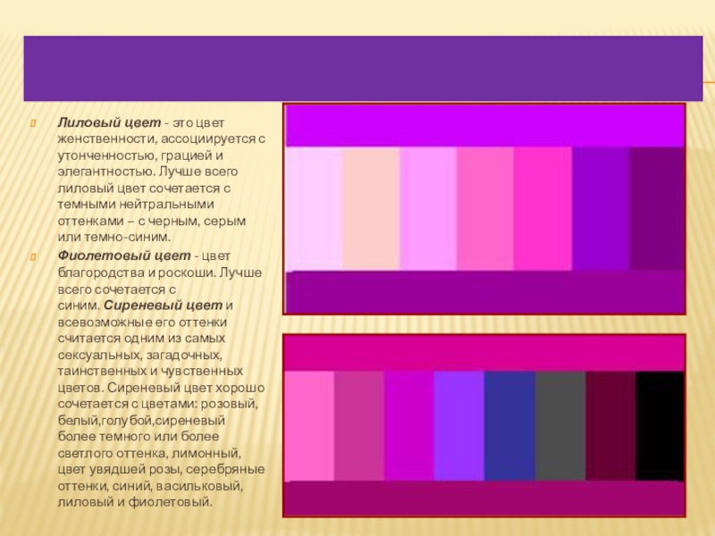 Сиреневый или фиолетовый цвет разница фото