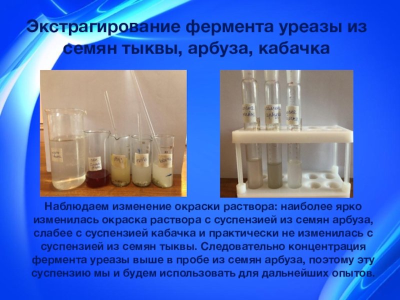 Fe cns 3 nh4cns. Опыты в пробирки с растворами. Индикатор фенолфталеин в кислоте. Укажите какое изменение можно наблюдать в растворе. Жидкость для раствора.