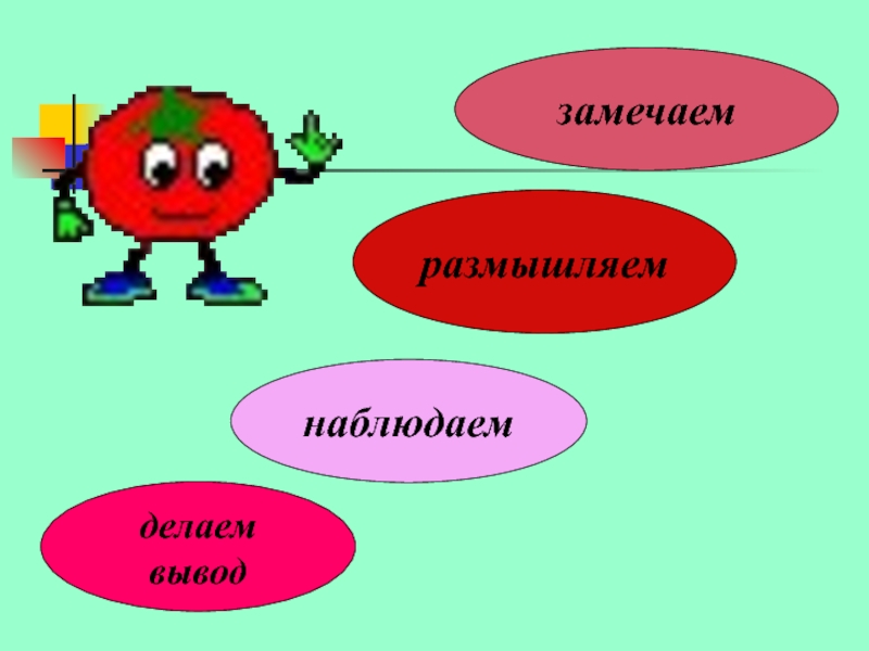 Картинка выводы сделаны