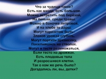 Презентация по биологии на тему Грибы