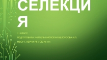Презентация по биологии на тему Селекция