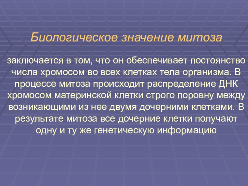 В чем заключается биологический смысл. Биологическое значение митоза состоит в. Биологическое значение митоза заключается в. Биологическое значение митоза. В чем заключается биологическое значение митоза.