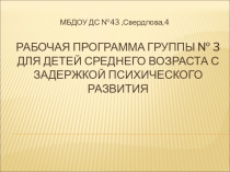 Создание рабочей программы группы для детей среднего возраста с ОВЗ