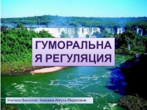 Презентация по биологии на тему Гуморальная регуляция(8 класс)