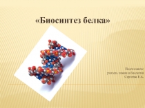 Презентация по биологии на тему Биосинтез белка