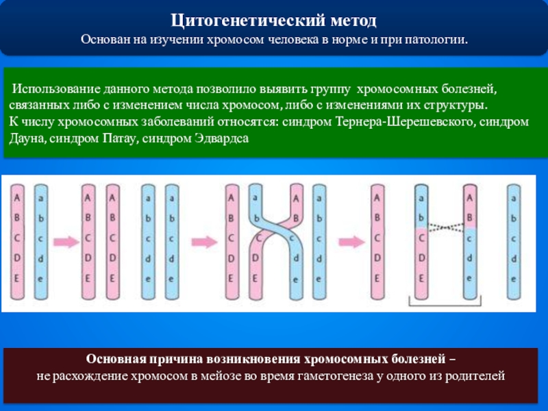 Секвенсовая карта хромосом