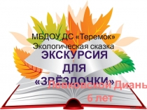 Презентация Экскурсия для звездочки