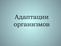 Презентация Адаптации 11 класс
