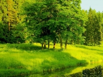 Презентация Закрытие недели экологии