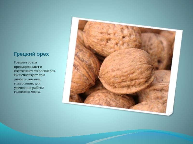 Грецкий орехГрецкие орехи предупреждают и излечивают атеросклероз. Их используют при диабете, анемии, гипертонии, для улучшения работы головного