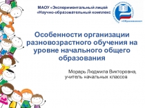 Особенности организации разновозрастного обучения