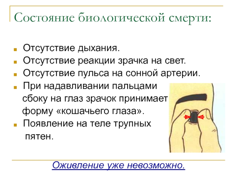 Экстренная реанимационная помощь обж 9 класс презентация