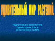 Удивительный мир растений
