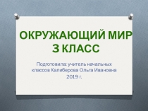 Презентация по окружающему миру на тему Великий круговорот жизни 3 класс