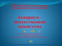 Презентация по окружающему миру Аквариум-искусственная экосистема