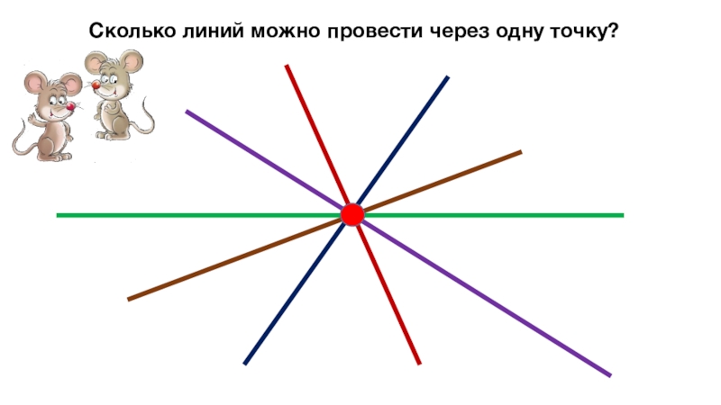 Количество линий 1. Точка кривая прямая отрезок Луч 1 класс. Построение прямой линии через одну точку, две точки. Построение прямых линий через одну точку. Прямая линия.