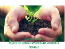 Санитарно-микробиологический анализ почвы