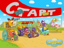 Презентация ПНШ 2 класс.Одно условие и несколько требований.