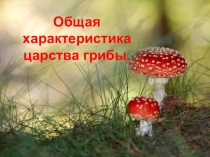 Презентация по биологии на тему Царство грибы 7 класс