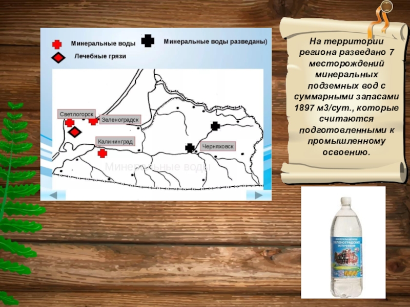 Карта полезных ископаемых калининградской области