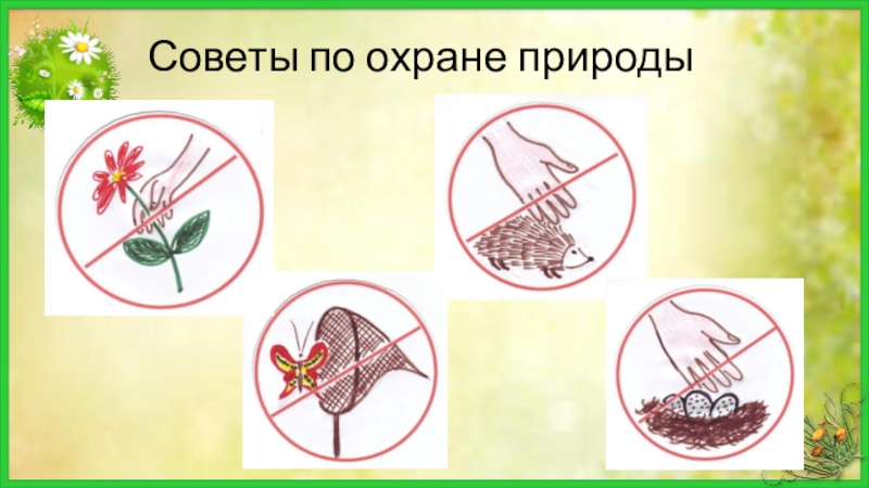 Советы природы. Советы по охране природы. Охрана природы опыты. Охрана природы стр 6. 10 Советов по защите природы.