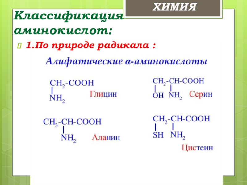 Презентация по химии аминокислоты белки