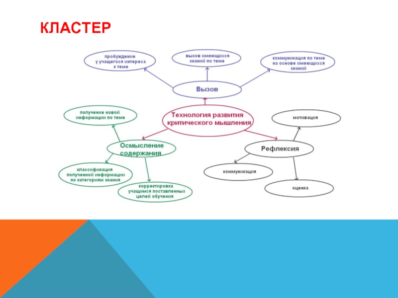 Кластер на тему классификация проектов в систему образования