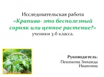 Исследовательская работа Крапива - это бесполезный сорняк или ценное растение?