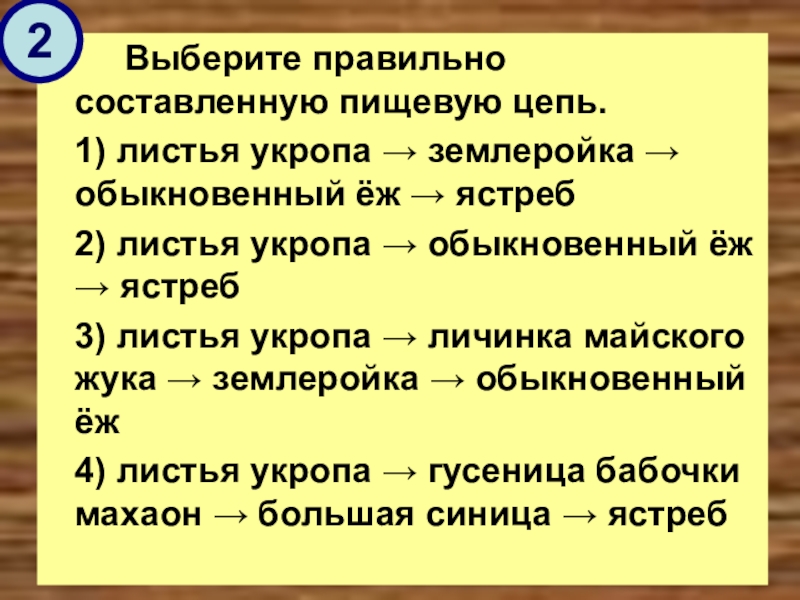 Выбери правильную составленную пищевую цепь. Выберите правильно составленную пищевую листья укропа. Выбери правильно составленную пищевую цепь листья укропа. Определите верно составленную пищевую цепь.