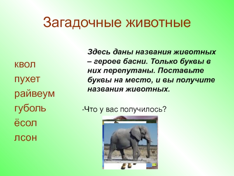 Проект по истории индия родина многих басен и сказок о животных